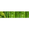 Küchenrückwände|Herde<MySpotti Küchenrückwand Profix Cucina Bambus 270 x 60 cm Grasgrün