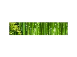 Küchenrückwände|Herde<MySpotti Küchenrückwand Profix Cucina Bambus 270 x 60 cm Grasgrün