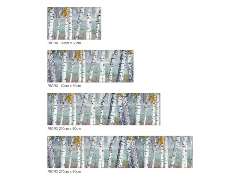 Online MySpotti Küchenrückwand Profix Cucina Herring Birkenwald 270 x 60 cm Birke