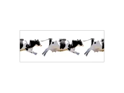 Küchenrückwände<MySpotti Küchenrückwand Profix Cucina Fliegende Kuh 160 x 60 cm Schwarz-Weiß