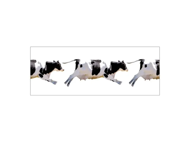 Küchenrückwände<MySpotti Küchenrückwand Profix Cucina Fliegende Kuh 160 x 60 cm Schwarz-Weiß