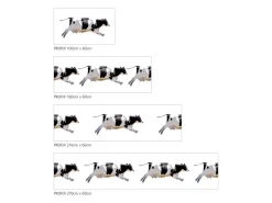 Küchenrückwände<MySpotti Küchenrückwand Profix Cucina Fliegende Kuh 160 x 60 cm Schwarz-Weiß