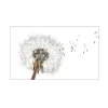 Küchenrückwände<MySpotti Küchenrückwand Profix Cucina Dandelion 100 x 60 cm Weiß-Grau
