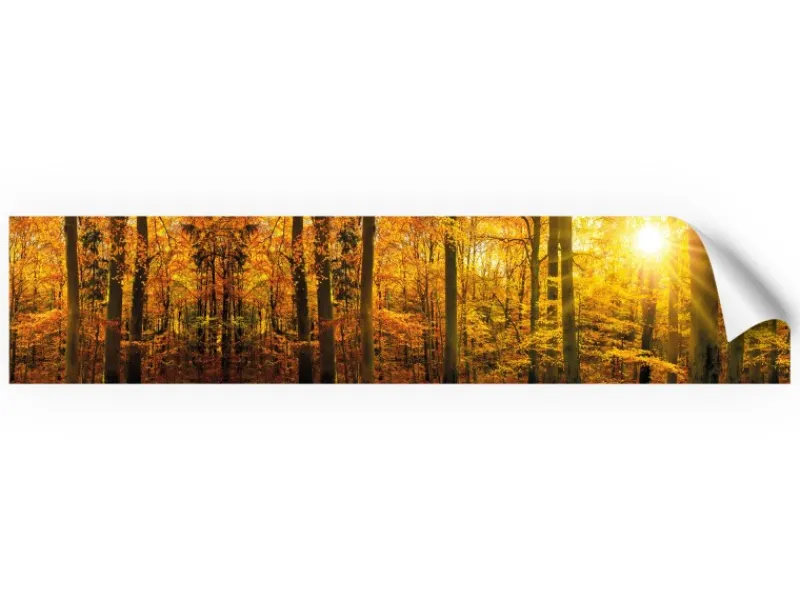 Küchenrückwände<Myspotti Küchenrückwandfolie Herbstwald Selbstklebend 280 cm x 60 cm
