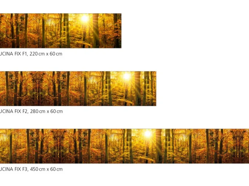 Küchenrückwände<Myspotti Küchenrückwandfolie Herbstwald Selbstklebend 280 cm x 60 cm