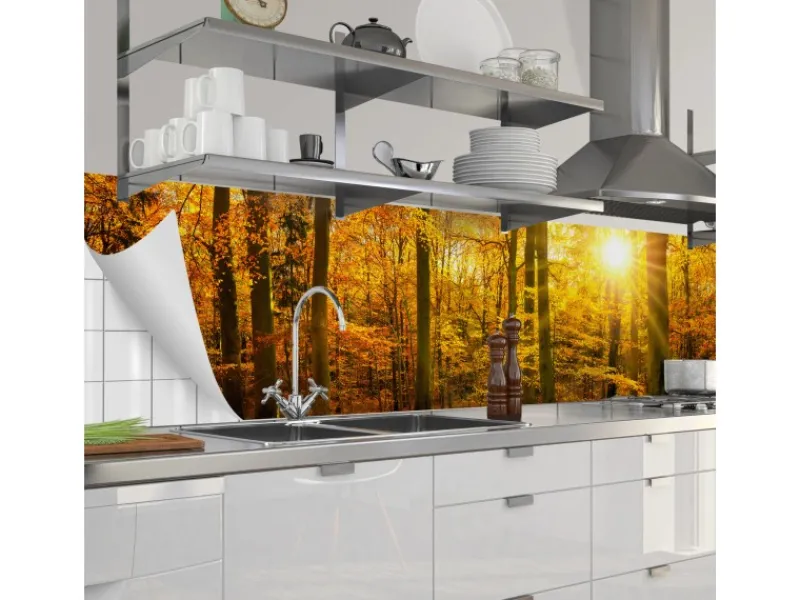 Küchenrückwände<Myspotti Küchenrückwandfolie Herbstwald Selbstklebend 280 cm x 60 cm