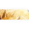 Küchenrückwände<Myspotti Küchenrückwandfolie Korn Selbstklebend 220 cm x 60 cm