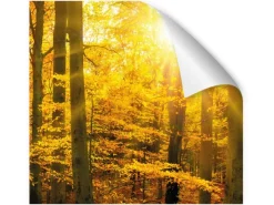 New Myspotti Küchenrückwandfolie Herbstwald Selbstklebend 450 cm x 60 cm