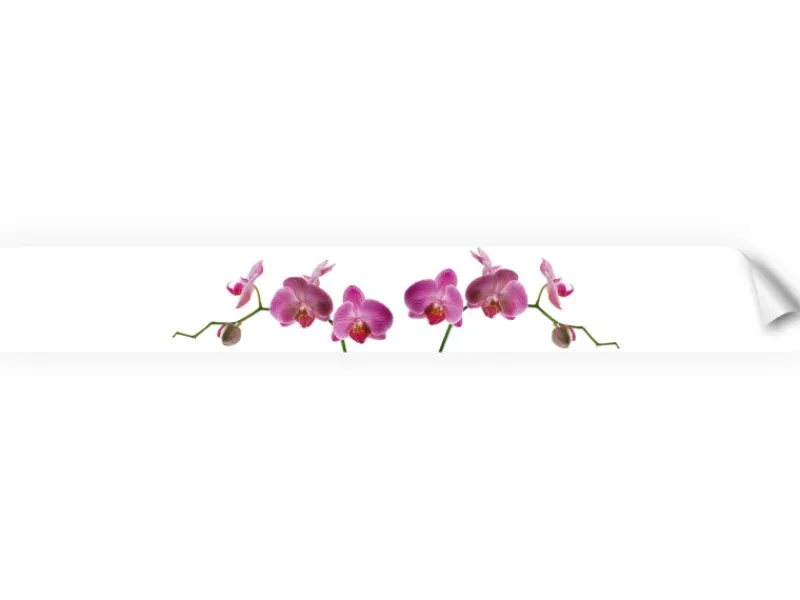 Myspotti Küchenrückwandfolie Orchidee Pink Selbstklebend 450 cm x 60 cm< Küchenrückwände