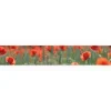 Myspotti Küchenrückwandfolie Mohn Selbstklebend 450 cm x 60 cm< Küchenrückwände
