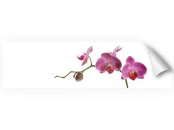 Myspotti Küchenrückwandfolie Orchidee Pink Selbstklebend 220 cm x 60 cm< Küchenrückwände