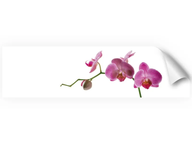 Myspotti Küchenrückwandfolie Orchidee Pink Selbstklebend 220 cm x 60 cm< Küchenrückwände