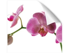 Myspotti Küchenrückwandfolie Orchidee Pink Selbstklebend 220 cm x 60 cm< Küchenrückwände