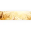 Küchenrückwände<Myspotti Küchenrückwandfolie Korn Selbstklebend 280 cm x 60 cm