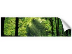 Küchenrückwände<Myspotti Küchenrückwandfolie Sommerwald Selbstklebend 220 cm x 60 cm
