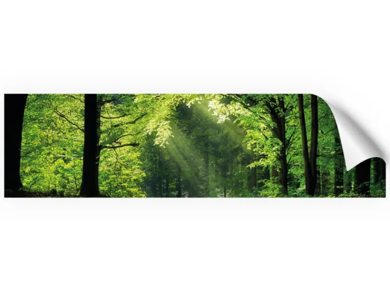 Küchenrückwände<Myspotti Küchenrückwandfolie Sommerwald Selbstklebend 220 cm x 60 cm