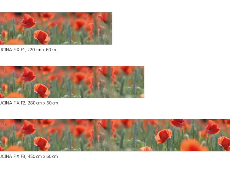 Myspotti Küchenrückwandfolie Mohn Selbstklebend 220 cm x 60 cm< Küchenrückwände