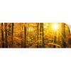 Myspotti Küchenrückwandfolie Herbstwald Selbstklebend 220 cm x 60 cm< Küchenrückwände