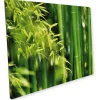 Myspotti Mini-Spritzschutzplatte Bambuswald 59 cm x 41 cm< Küchenrückwände