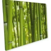 Küchenrückwände|Kochfelder<Myspotti Mini-Spritzschutzplatte Bambus 59 cm x 41 cm