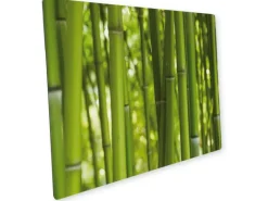 Küchenrückwände|Kochfelder<Myspotti Mini-Spritzschutzplatte Bambus 59 cm x 41 cm