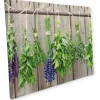 Hot Myspotti Mini-Spritzschutzplatte Herbs 59 cm x 41 cm