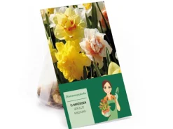 Narzissen GefüllteMischung 15 Stück Narcissus double Mixed< Töpfe