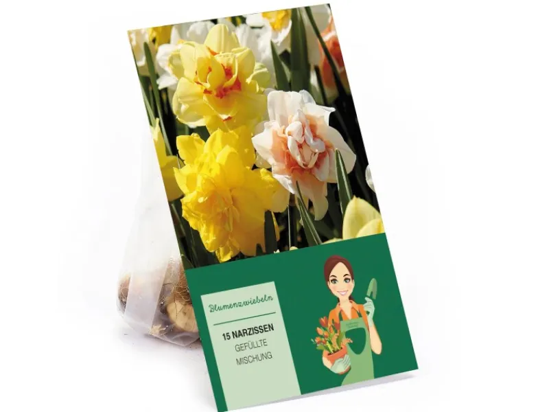 Narzissen GefüllteMischung 15 Stück Narcissus double Mixed< Töpfe