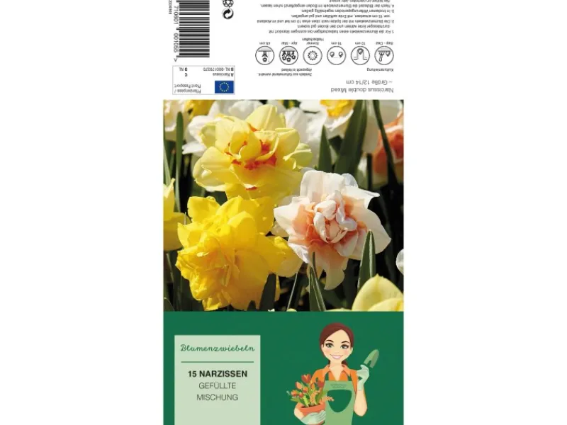 Narzissen GefüllteMischung 15 Stück Narcissus double Mixed< Töpfe
