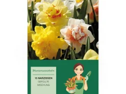 Narzissen GefüllteMischung 15 Stück Narcissus double Mixed< Töpfe