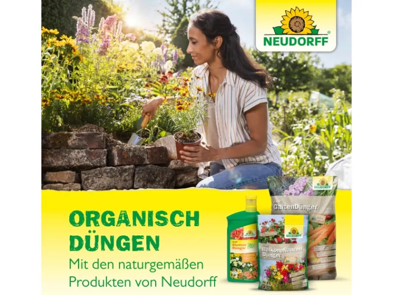 Neudorff Töpfe<Azet Beeren- und Obst-Dünger 2,5 kg
