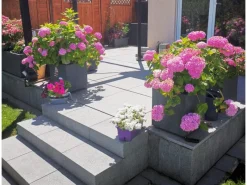 Ondis24 Pflanzkübel Vulkan 40 Pierre HellGrau Blumentopf Pflanzgefäß< Töpfe