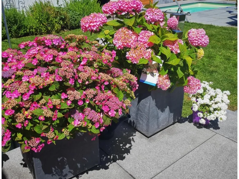Ondis24 Pflanzkübel Vulkan 40 Pierre HellGrau Blumentopf Pflanzgefäß< Töpfe