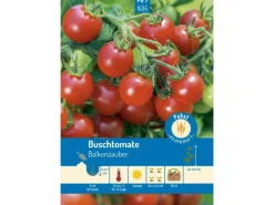 Best Pabst Keimkraft Buschtomate Früh & Robust Balkonzauber Saatgut