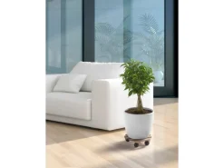 OBI Pflanzenroller Buche glatt rund Ø 30 cm< Töpfe
