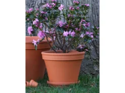 Clearance Pflanztopf Ø 31 cm Terrakotta