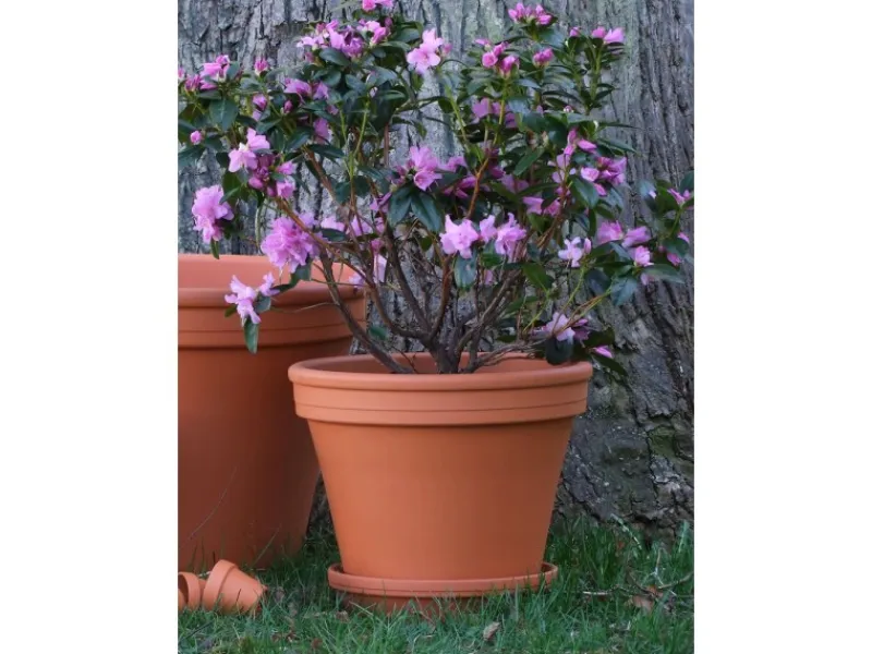 Clearance Pflanztopf Ø 31 cm Terrakotta