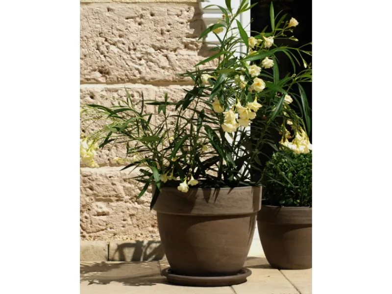Online Pflanztopf Levante Ø 35 cm Basalt Braun