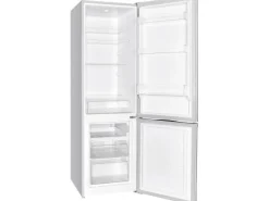 Outlet PKM Kühl-Gefrierkombination KG240EIX Inox-Design EEK: E