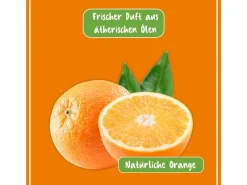 Discount Poliboy BIO Küchen Reiniger 500 ml