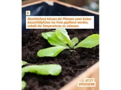 Proflora Töpfe<Kokosfaser Anzucht-Pflanztopf 0,05 l (20 Töpfe)