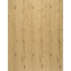 Regalboden Eiche Astig 120 cm x 50 cm x 1,6 cm< Küchenregale