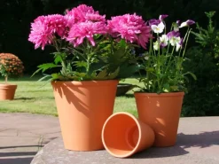 Rosentopf Ø 18 cm Terrakotta< Töpfe