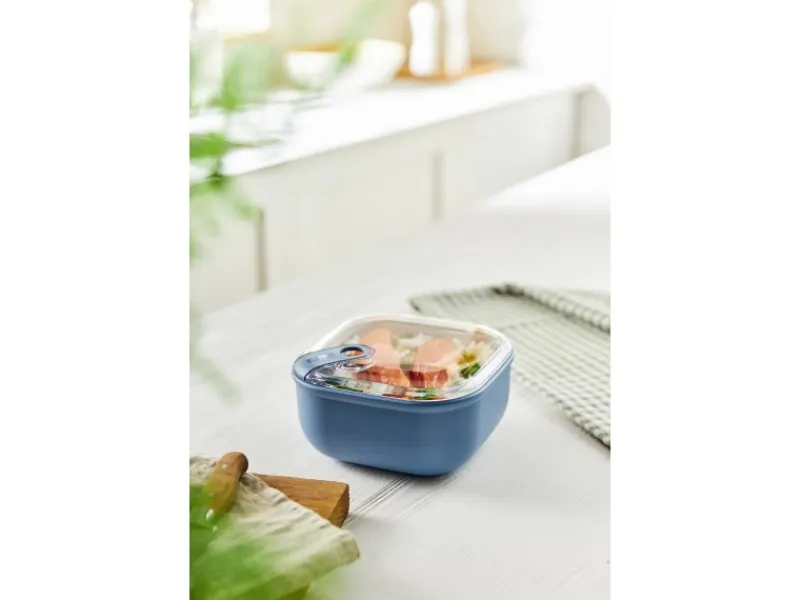 Discount Rotho Frischhaltedose Ela 0,425 l Horizontblau