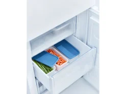 Rotho Gefrierdosen-Set Domino 1,2 l Horizontblau 3-teilig< Vorratsdosen