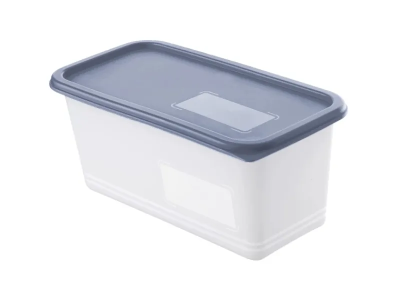 Best Rotho Gefrierdosen-Set Domino 1,5 l Horizontblau 3-teilig