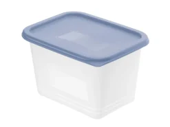 Rotho Vorratsdosen|Vorratsbehälter<Gefrierdose-Set Domino 1 l 4-teilig