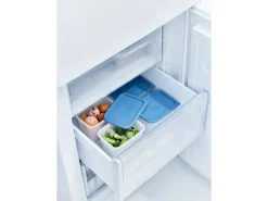 Rotho Vorratsdosen|Vorratsbehälter<Gefrierdose-Set Domino 1 l 4-teilig