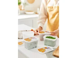 Rotho Gefrierdose-Set Domino 1 l 4-teilig< Vorratsdosen|Vorratsbehälter
