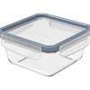 Best Rotho Kühlschrankdose Clic & Lock Glas 0,75 l Horizontblau